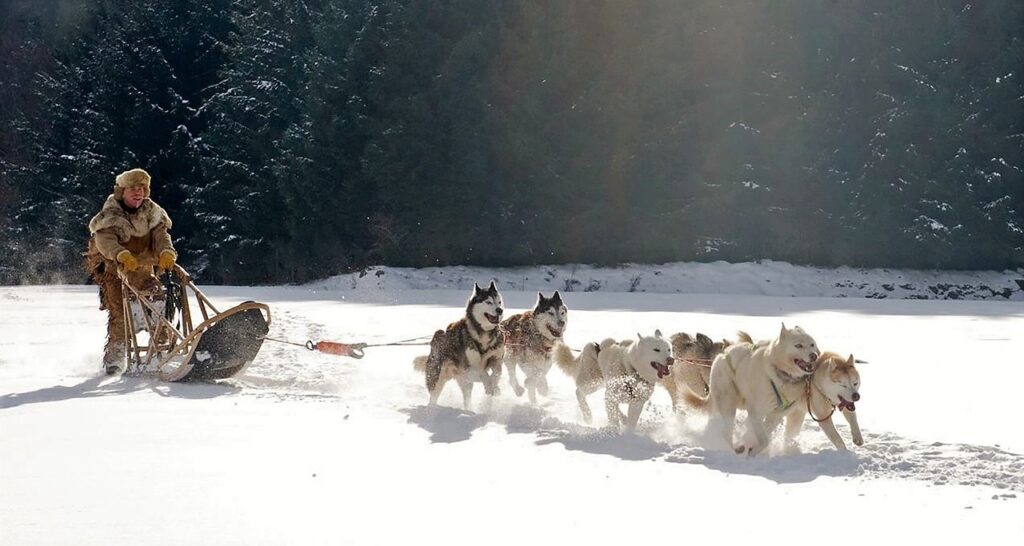 mushing