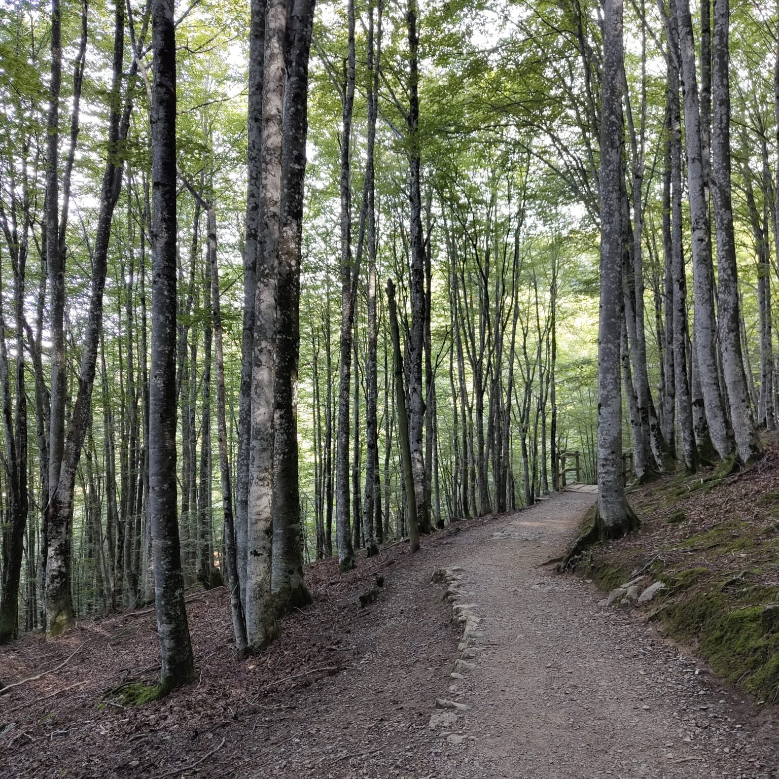 Camino hacia Urbia - Parque Natural Aizkorri-Aratz