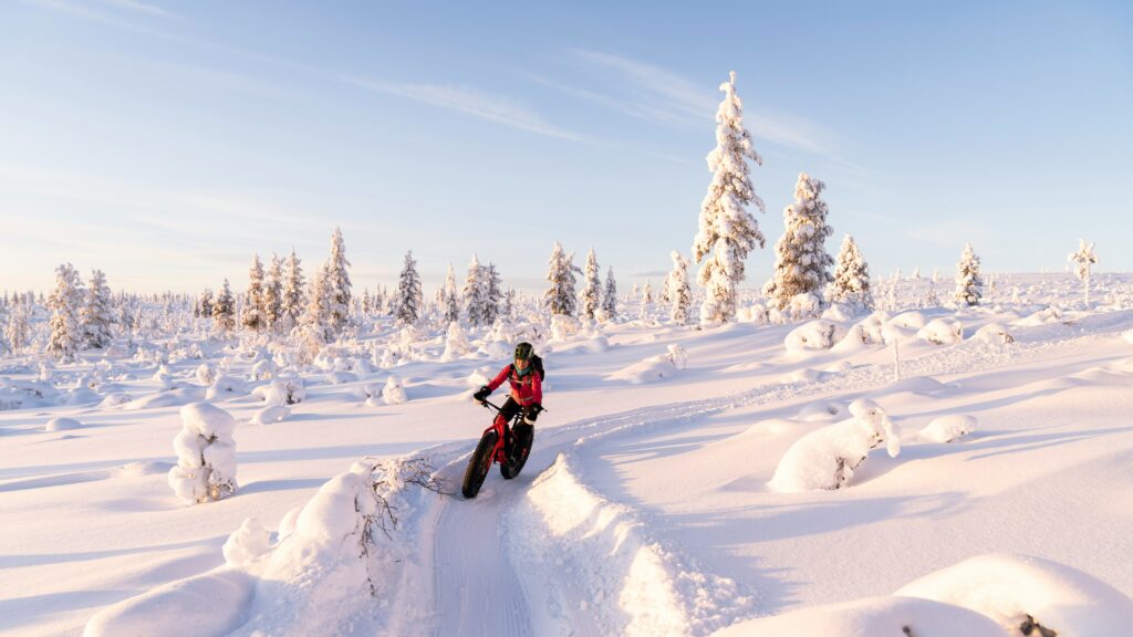 Fat bike en nieve