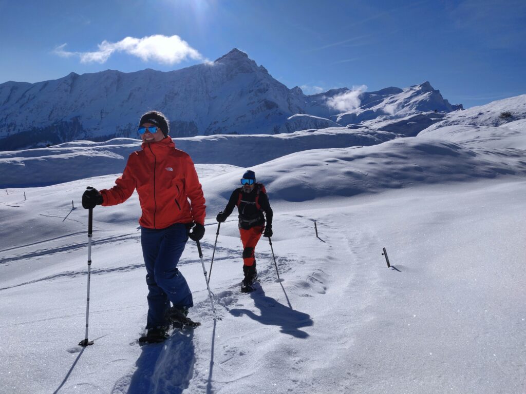 Ruta con raquetas de nieve