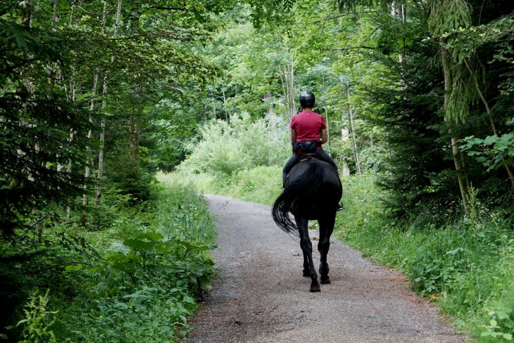 Ruta a caballo en Huesca, Sarvisé