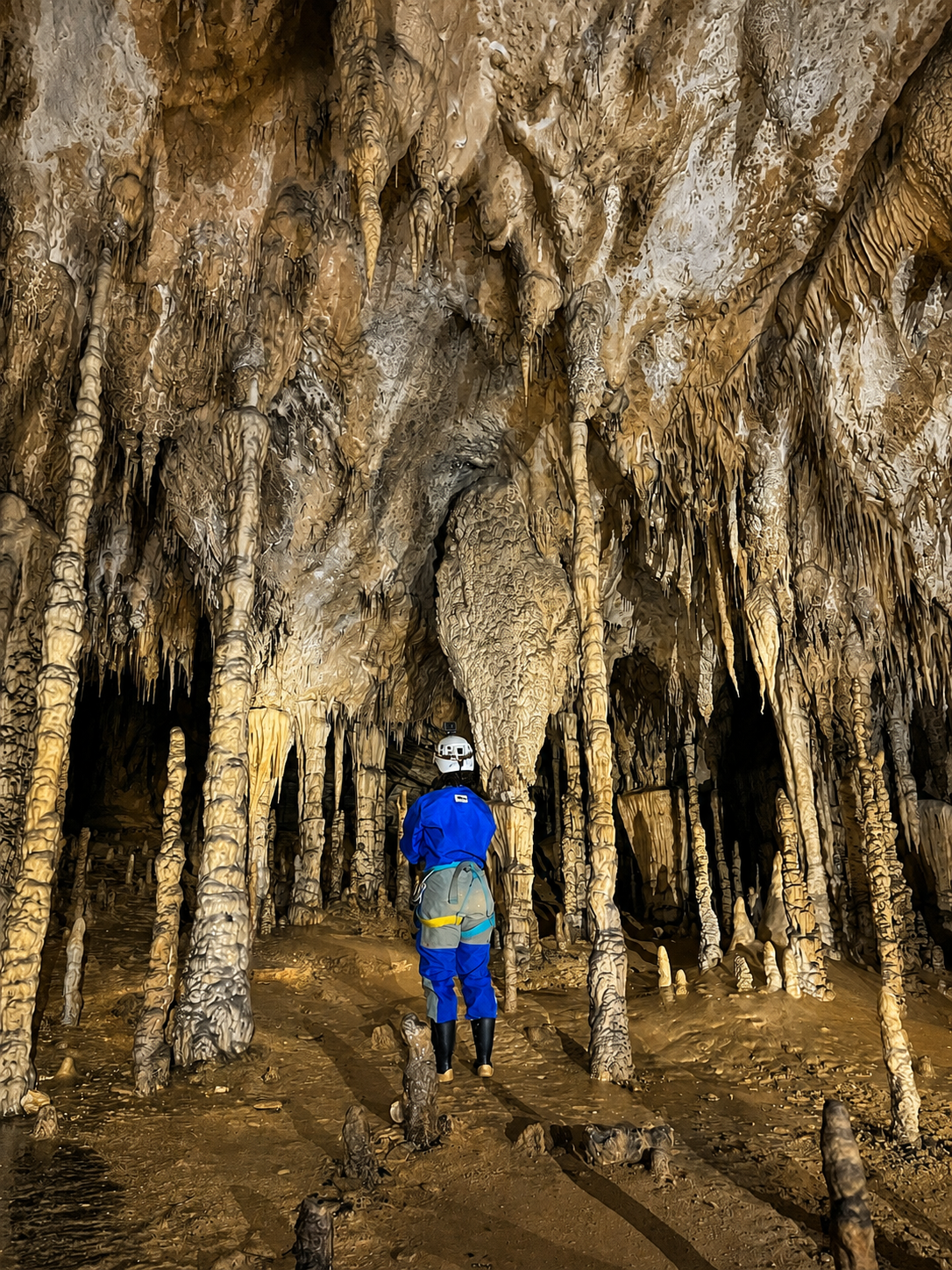 Espeleología